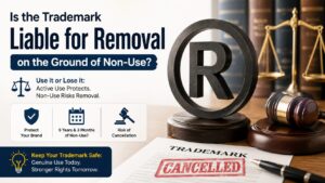 Read more about the article Is the Trademark Liable for Removal on the Ground of Non-Use?